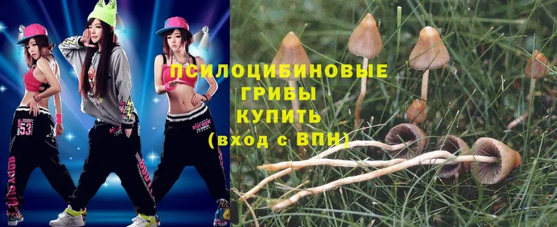 Псилоцибиновые грибы Magic Shrooms  Калининск 